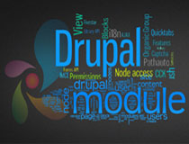 Drupal Development