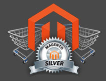 Magento Ecommerce